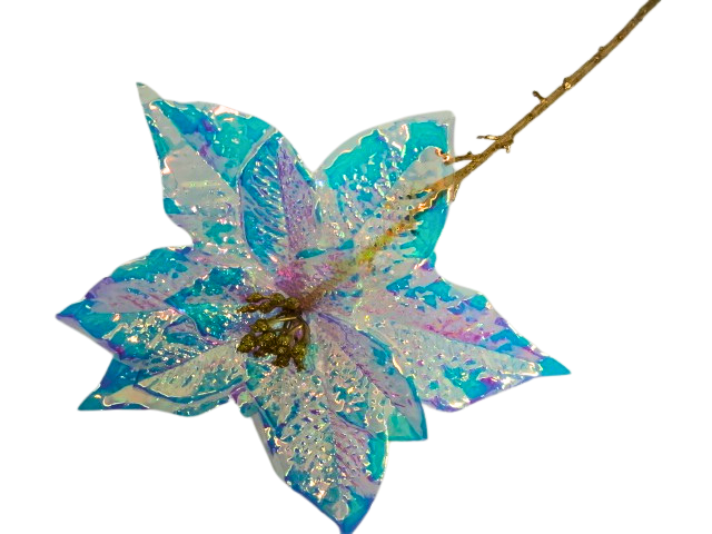 Piękna Dekoracyjna Dekoracyjna Poinsesja Gwiazda Betlejemska Na Choinke Błękitna Długa 53cm