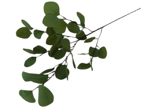 Piękna Gałązka Dekoracyjna Eukaliptus Długa 90cm Do Kompozycji Dekoracji Idealna