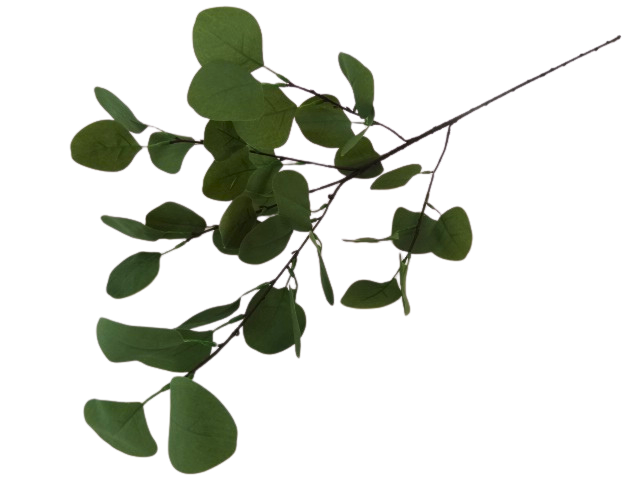 Piękna Gałązka Dekoracyjna Eukaliptus Długa 90cm Do Kompozycji Dekoracji Idealna