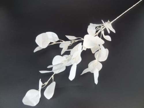 Piękna Gałązka Dekoracyjna Eukaliptus Długa 90cm Do Kompozycji Dekoracji Idealna