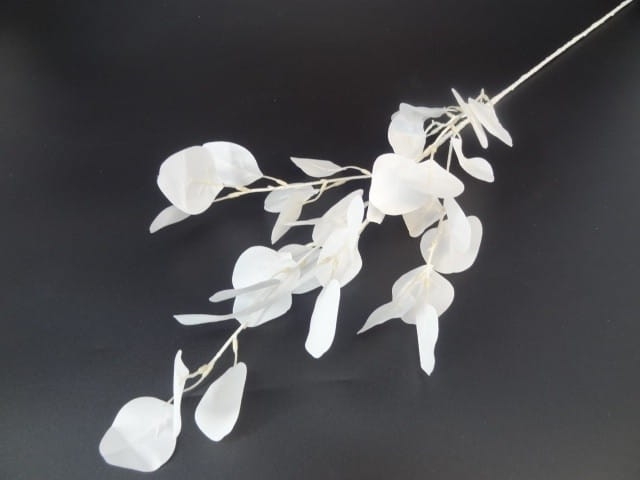 Piękna Gałązka Dekoracyjna Eukaliptus Długa 90cm Do Kompozycji Dekoracji Idealna