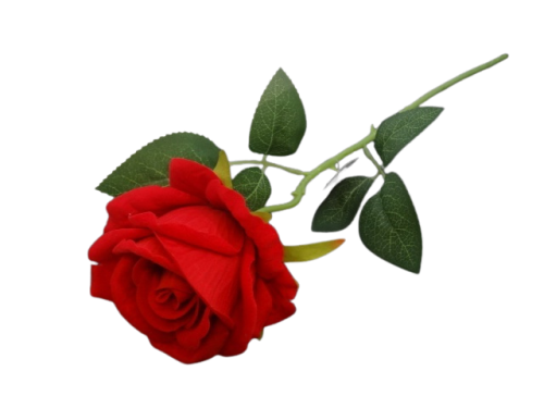 Kwiat Dekoracyjny Róża Czerwona Welur Welurowa Piękna Dekoracyjna 50cm