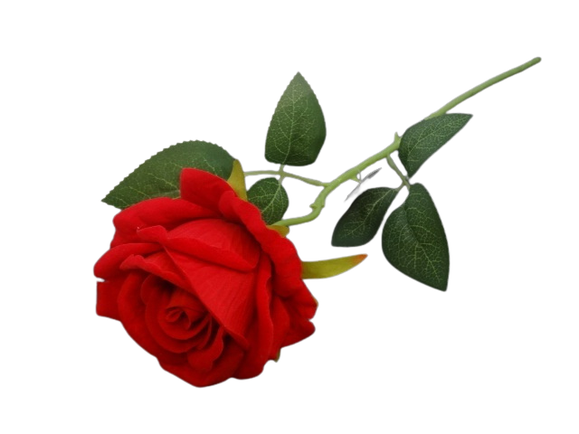 Kwiat Dekoracyjny Róża Czerwona Welur Welurowa Piękna Dekoracyjna 50cm