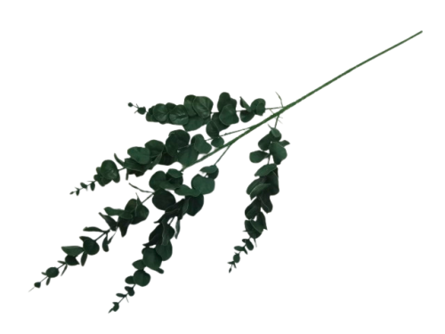 Piękna Gałązka Dekoracyjna Eukaliptus Długa 92cm Do Kompozycji Dekoracji Idealna Guma