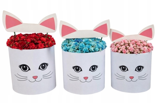 Flower box pudełko na kwiaty zestaw 3w1 Kocia Twarz Uszy biały Wyjątkowy