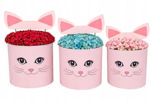 Flower box pudełko na kwiaty zestaw 3w1 Kocia Twarz Uszy rózowy Wyjątkowy