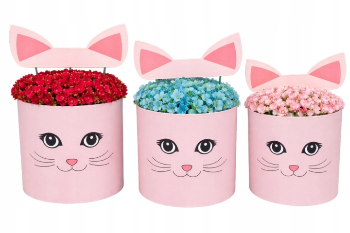 Flower box pudełko na kwiaty zestaw 3w1 Kocia Twarz Uszy rózowy Wyjątkowy