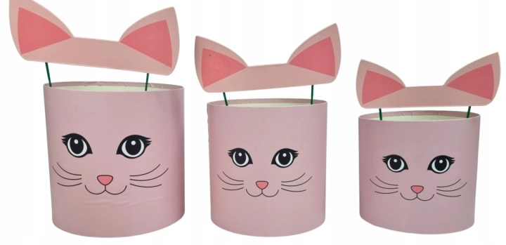 Flower box pudełko na kwiaty zestaw 3w1 Kocia Twarz Uszy rózowy Wyjątkowy