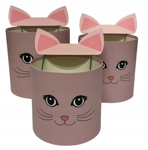 Flower box pudełko na kwiaty zestaw 3w1 Kocia Twarz Uszy rózowy Wyjątkowy