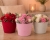 Flower box pudełko na kwiaty kubeczek beżowy welurowy Prezent Prezentowe