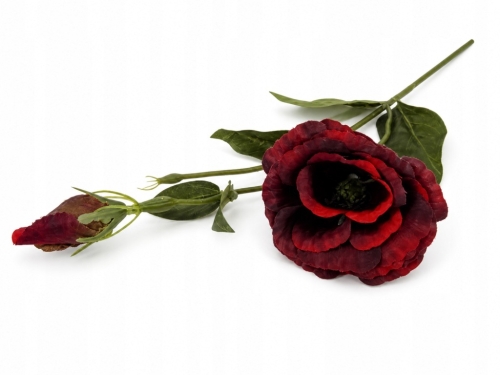 Piękny Bukiet Bukiecik Gałązka Eustoma burgundowa Czerwona Do Wazonu 50cm