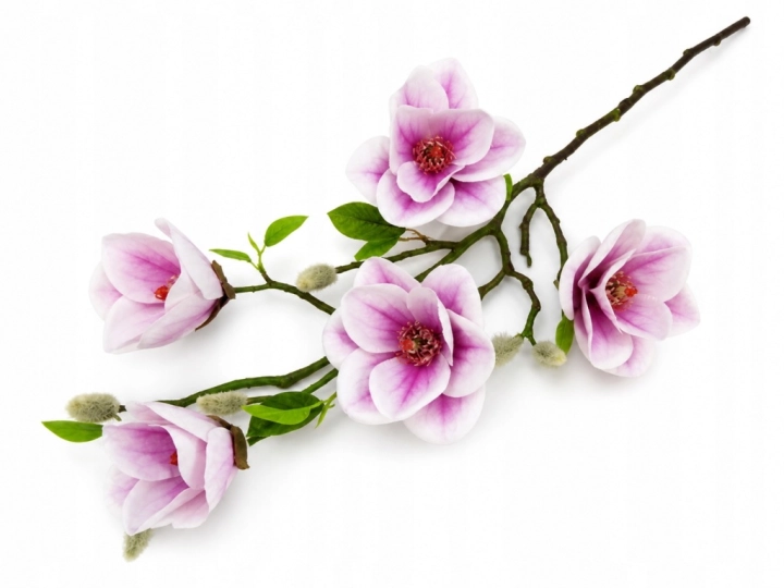 Piękny Bukiet Bukiecik Gałązka Magnolia Gumowa Fioletowa Do Wazonu 75cm