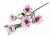 KWIAT/MAGNOLIA VIP7627/05#