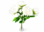 BUKIET/PEONIA VIP5971/CREAM
