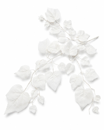 LIŚĆ K VIP7829/S/WHITE