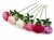 KWIAT/PEONIA VIP8388/MIX(6)