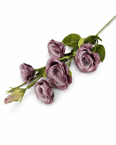 KWIAT/EUSTOMA VIP7458/DJG MIX