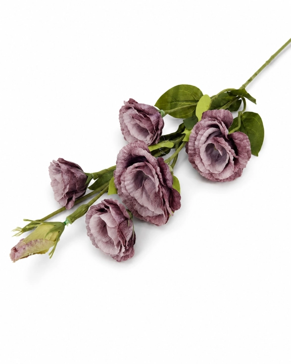 KWIAT/EUSTOMA VIP7458/DJG MIX