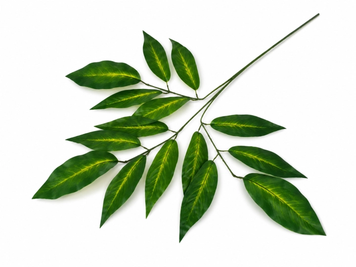 LIŚĆ VIP7984/S